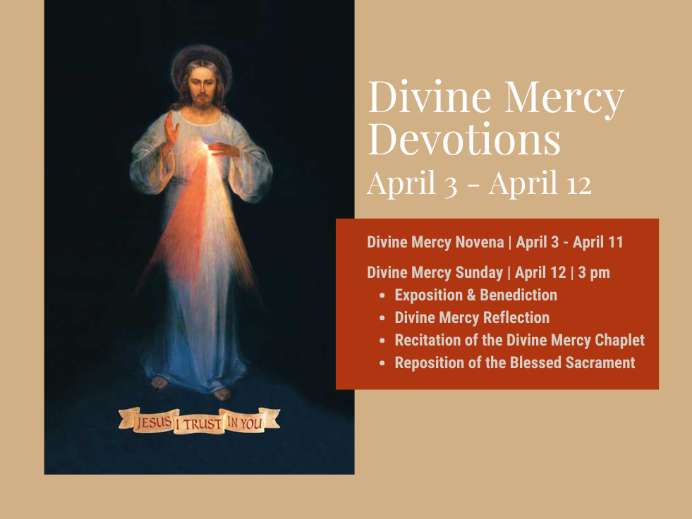 Image.carousel.divine Mercy Novena. 2026 1