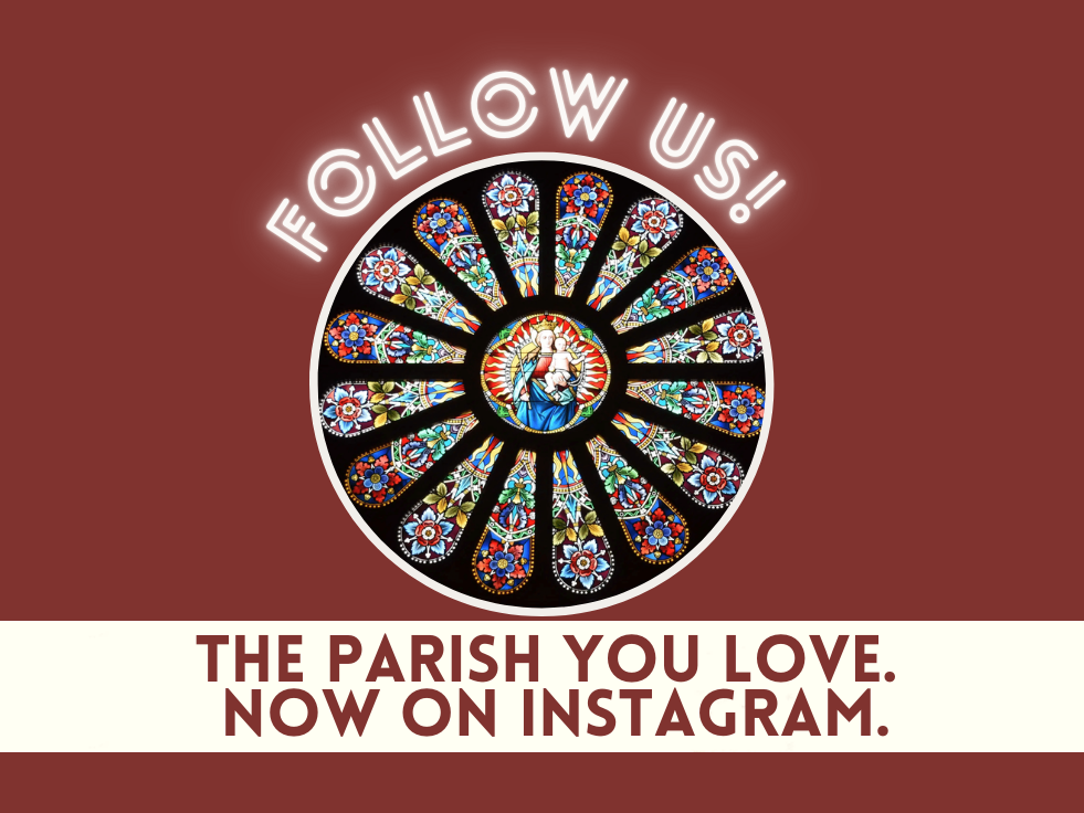 Image.carousel.instagramcampaign.2025 3