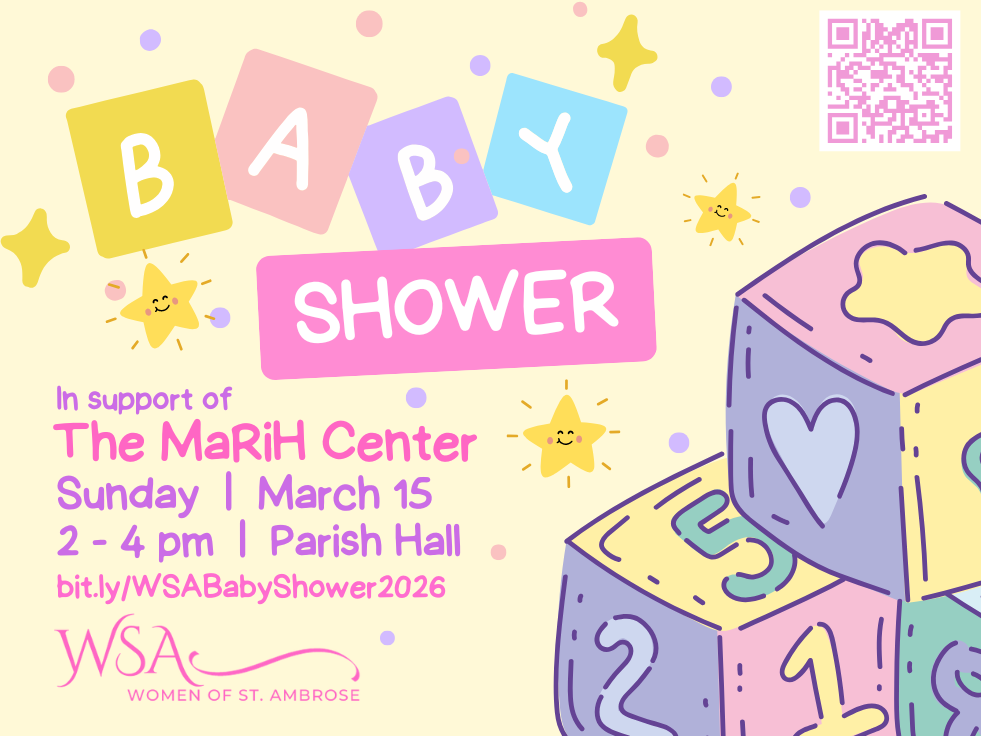 Image.carousel.wsababyshower.march2026