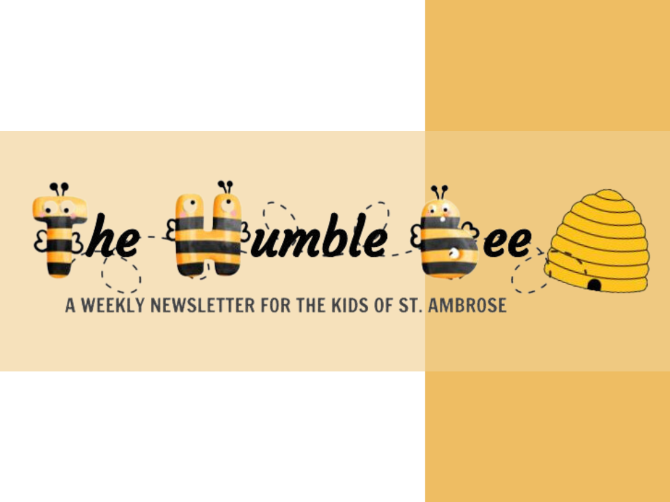 Image.carousel.humblebee.sept .2023