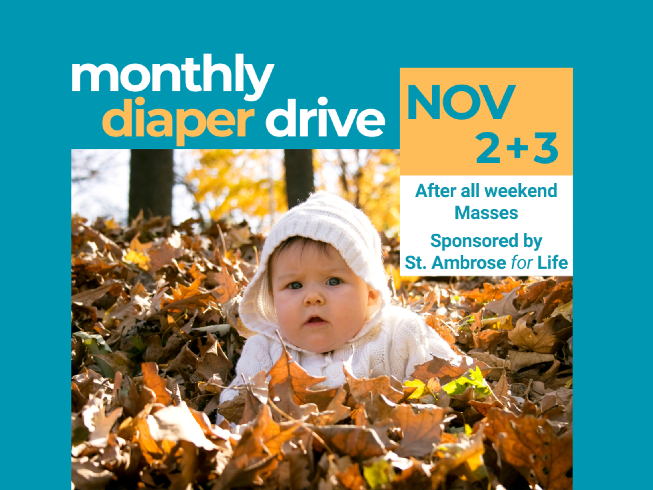 Image.carousel.monthlydiaperdrive