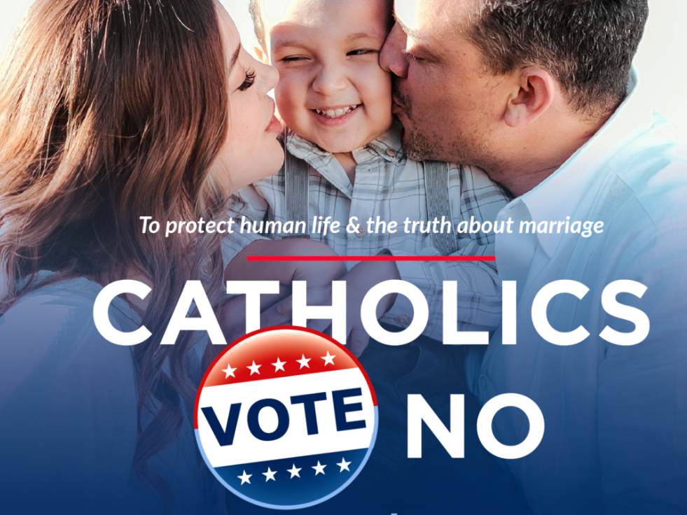 Image.carousel.small .voteno.fall2026